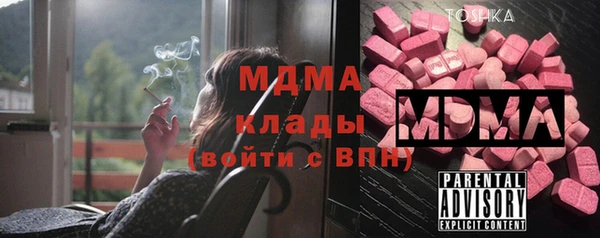 шишки Новодвинск