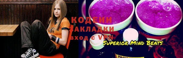 крисы Новокубанск