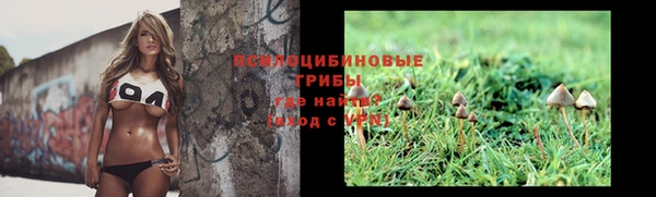шишки Новодвинск