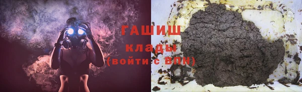 шишки Новодвинск