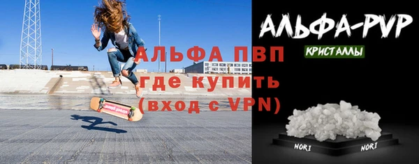 шишки Новодвинск