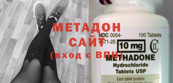 шишки Новодвинск