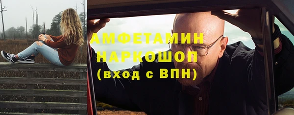 шишки Новодвинск