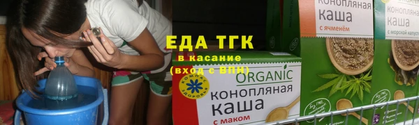 шишки Новодвинск