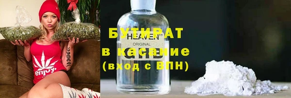 шишки Новодвинск