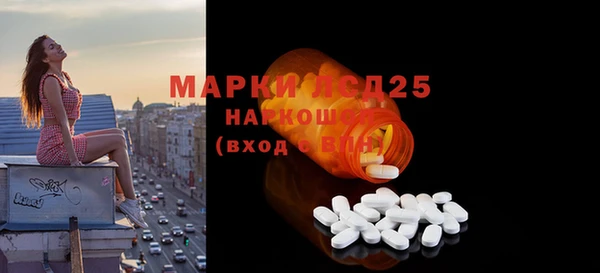 шишки Новодвинск