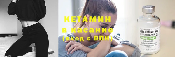 шишки Новодвинск