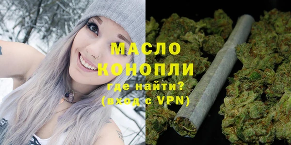 шишки Новодвинск