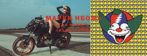 шишки Новодвинск
