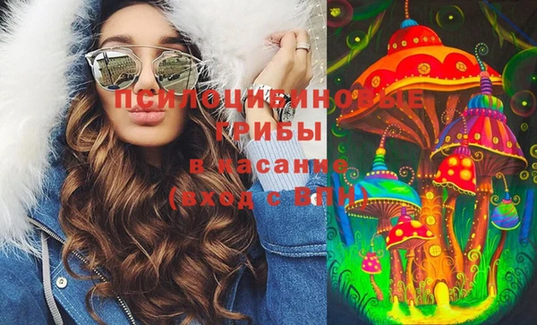 тгк Новозыбков