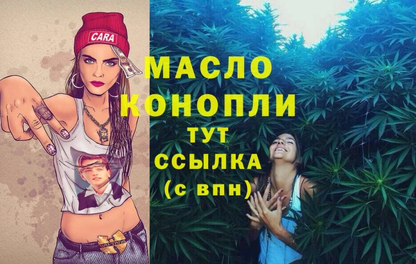 шишки Новодвинск