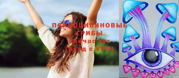 крисы Новокубанск