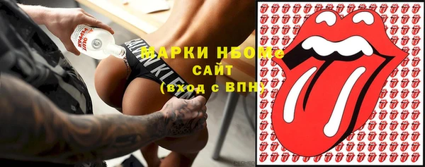 тгк Новозыбков