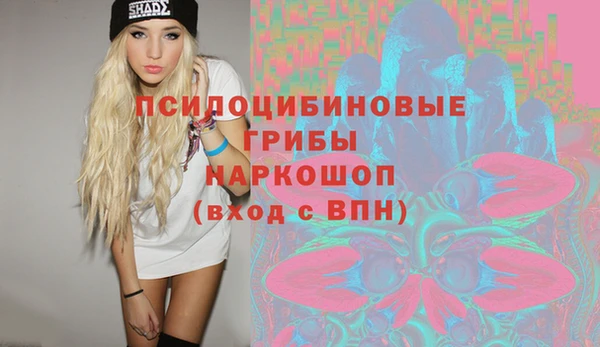 шишки Новодвинск