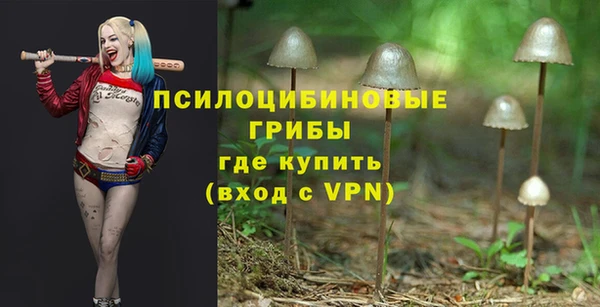тгк Новозыбков
