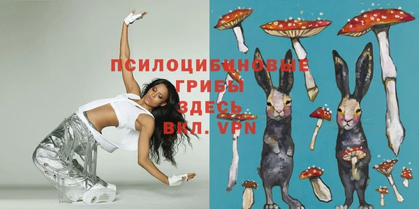 шишки Новодвинск