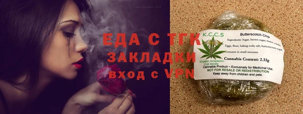 тгк Новозыбков
